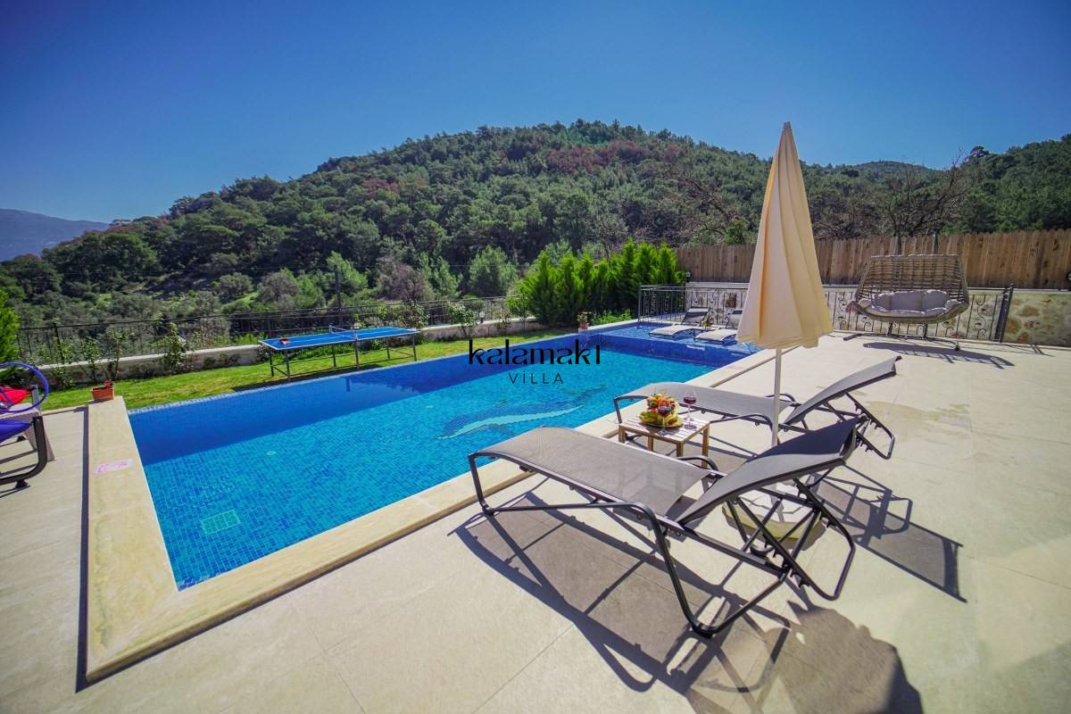 Villa Emir