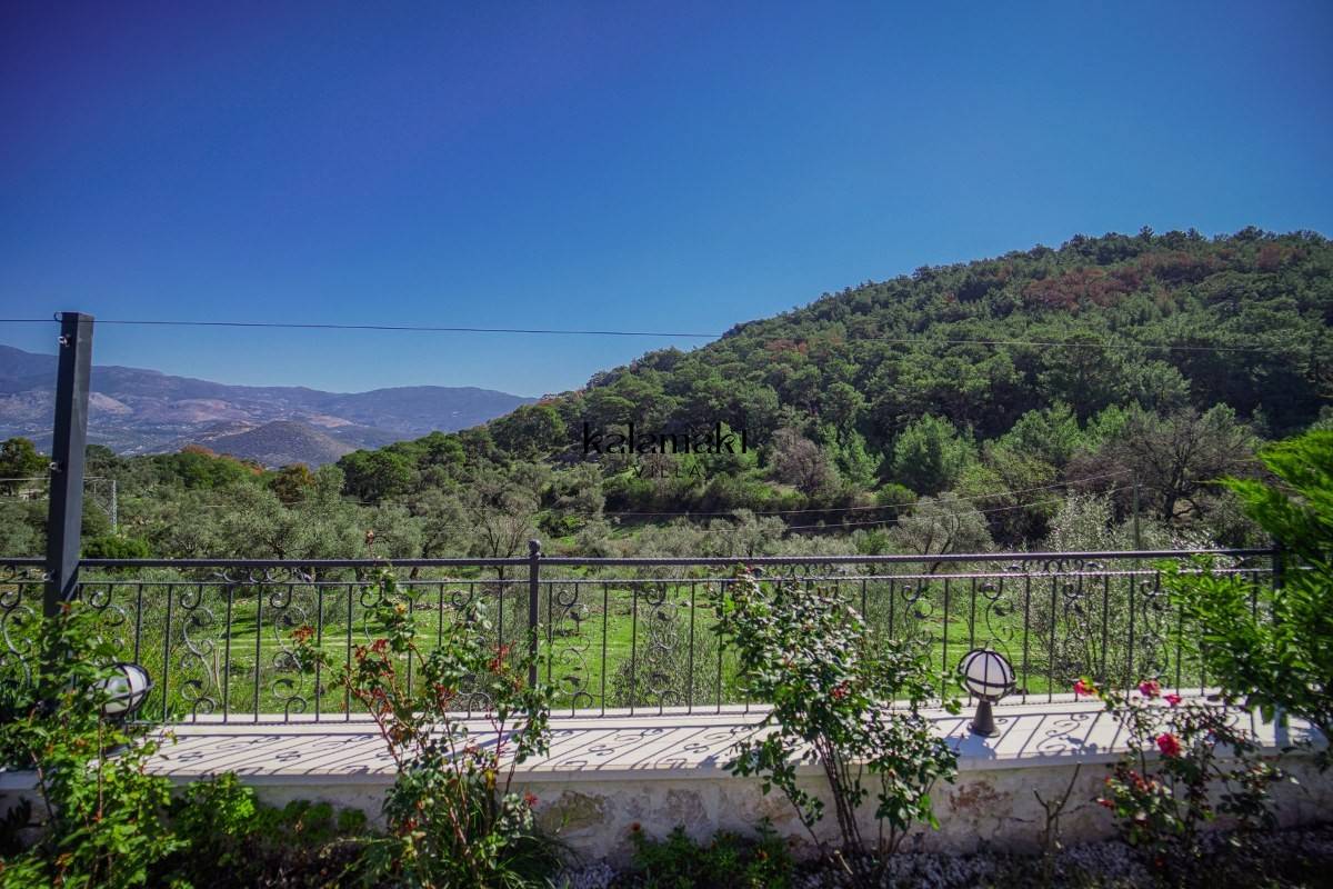 Villa Emir