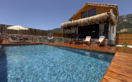 Villa Koca Armut 1
